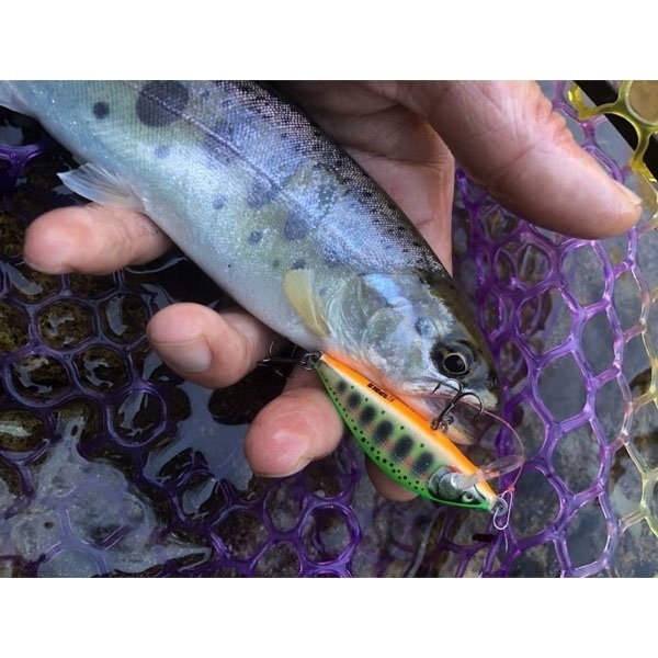 カウントダウン　エリート　CDE75